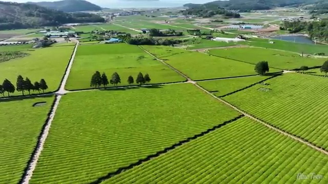  서대문구 홍제2동 하수구기름막힘 해결 방법 A to Z