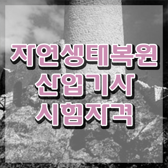  자연생태복원산업기사 취득자격 집에서 온라인으로 5개월 만에 끝낸 과정