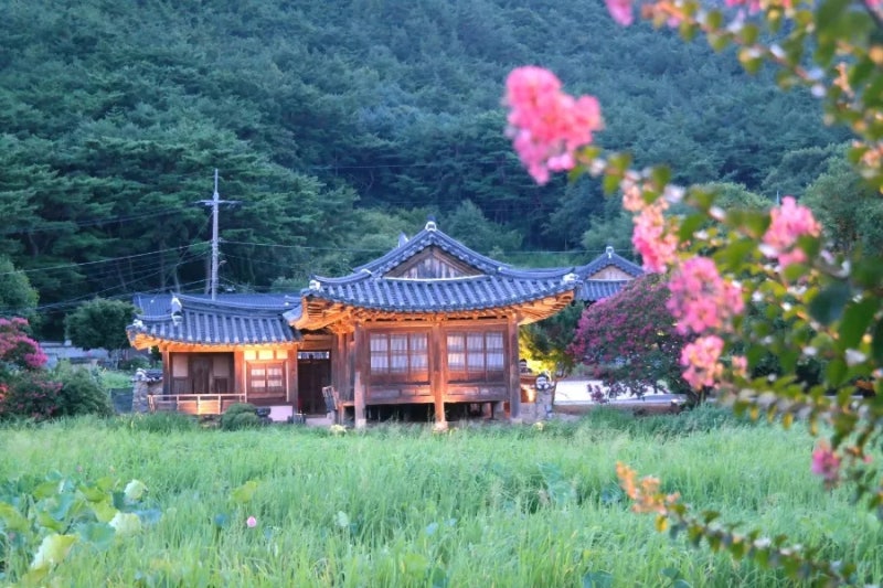 사진 7