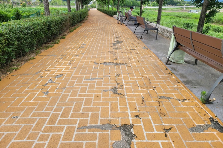  증평 보강천 문화이음길 보수비로 혈세 '줄줄'