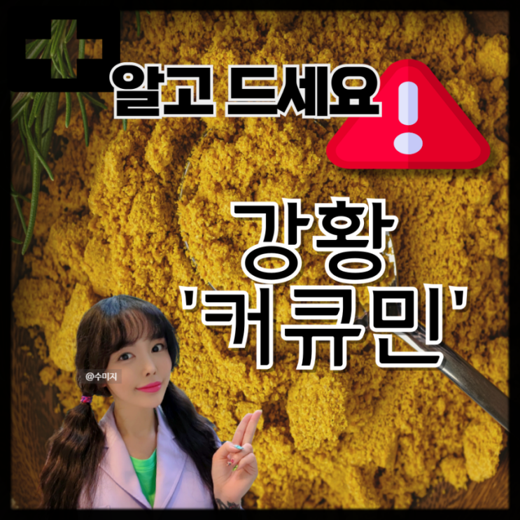  카레 효능 : 강황 커큐민 강황의 효능 (강황가루의 효능, 부작용)