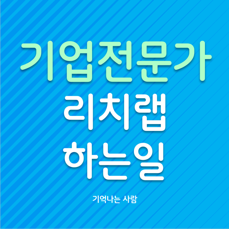  중소기업 전문가 리치랩이 하는 일