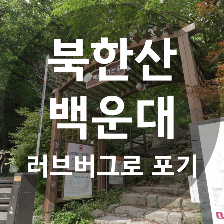  북한산 백운대 러브버그