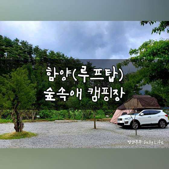 함양천자봉관광농원숲속애 사진 3