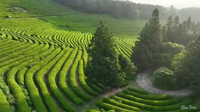  상가리모델링 고민중이라면 , 전문디자이너 에게 먼저 연락주세요. (무료 서비스)