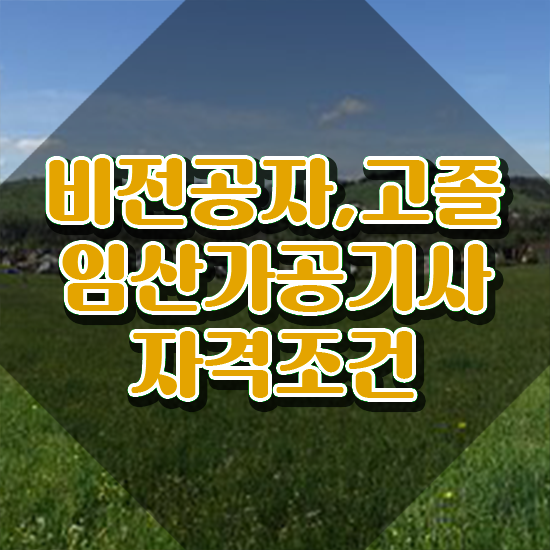  임산가공기사 시험 임산가공기사 응시자격 온라인 수업으로 반 년만에 성공한 방법