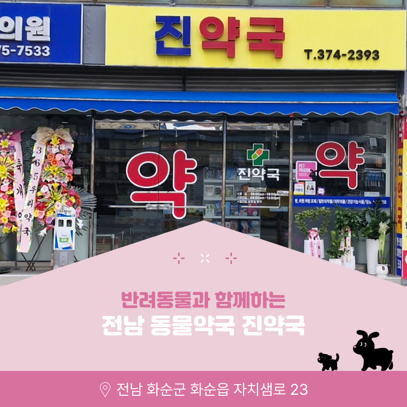 진약국 사진 1