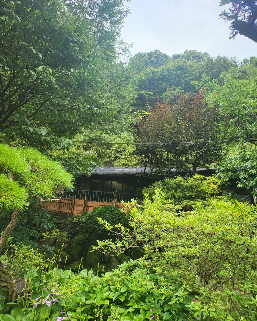푸른산장 사진 3