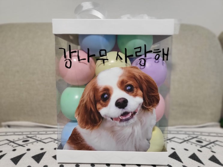  무지개다리 건너 나무에게 하는 이야기
