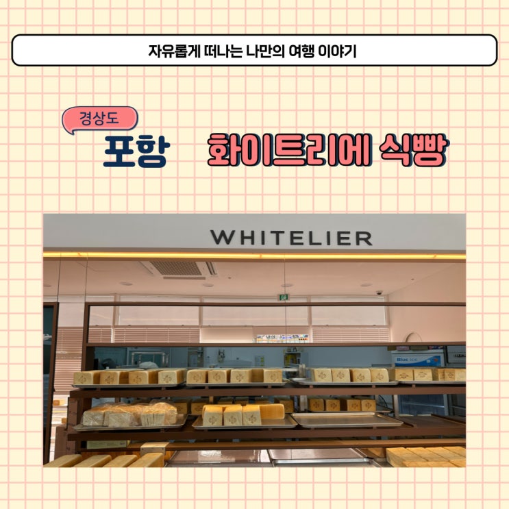  포항 화이트리에 식빵 포항 여행 중 꼭 먹어야 할 간식 소개