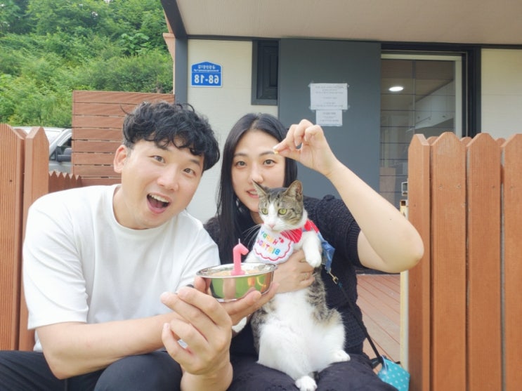  전남여행추천 : 담양독채펜션, 광주근교애견동반펜션 슈트라하우스 힐링하기 딱 좋은 곳!