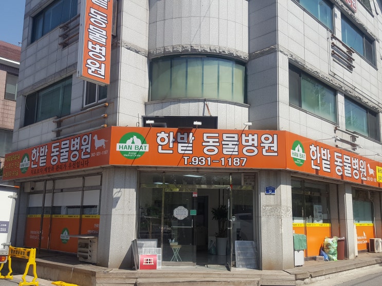  봉산동 동물병원