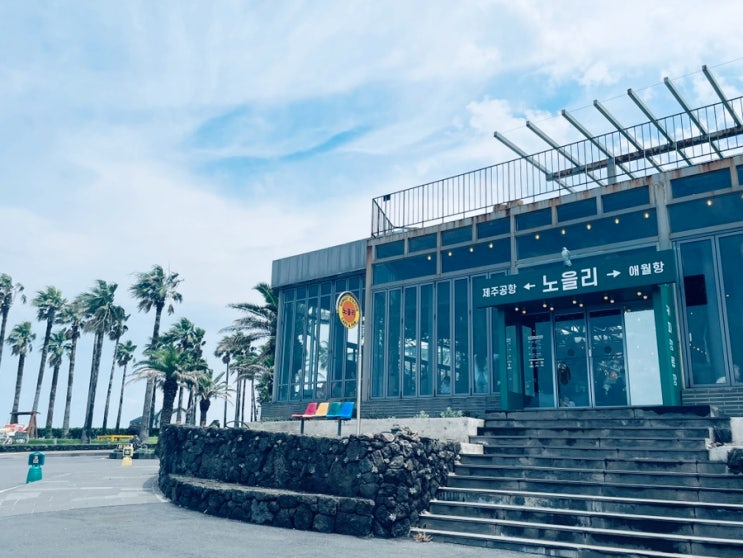  제주도 애월 오션뷰 루프탑 플랜테리어 카페 노을리