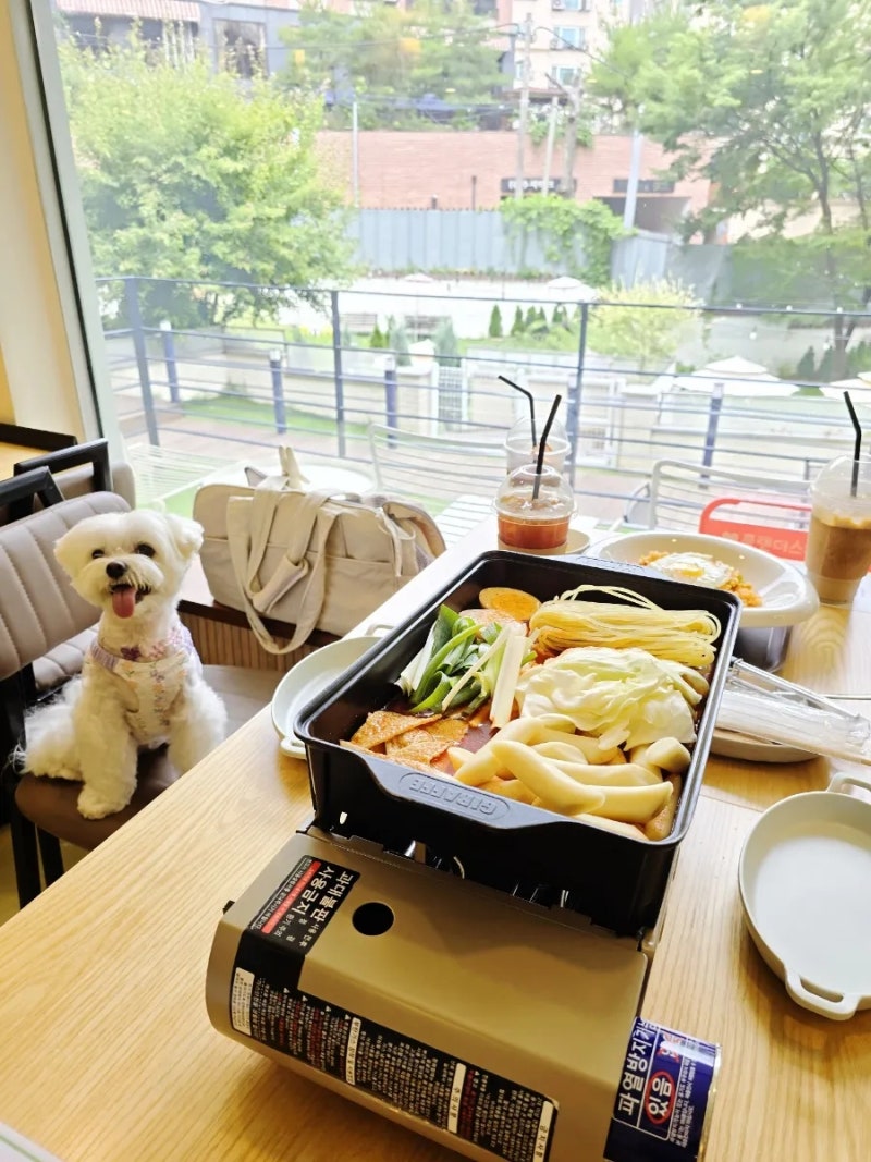 사진 2