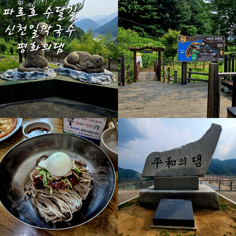 사진 5