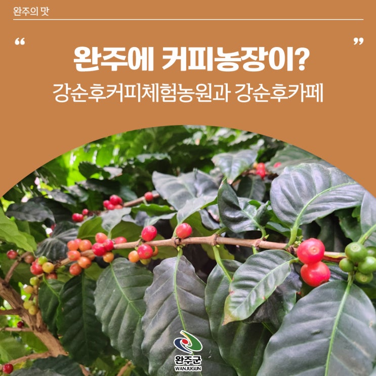 <b>전북</b> 가볼 만한 곳 완주에 커피농장이? 강순후커피체험농원과... 