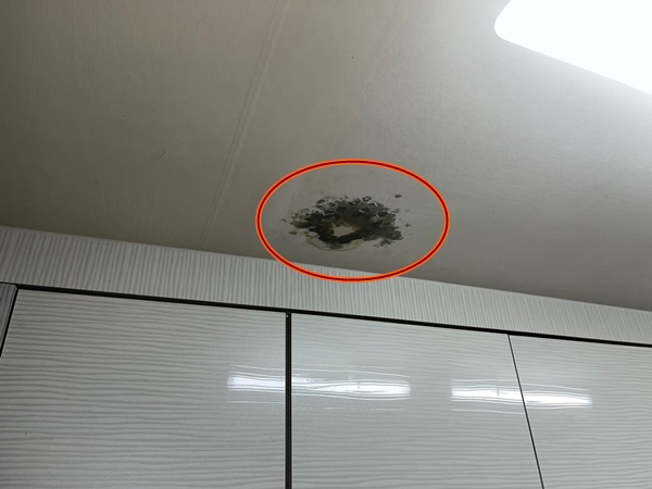  오산 세탁실 천장 누수 - 원동 아랫집 천장에 나타난 검은 곰팡이 자국!