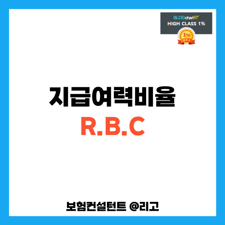  지급여력비율 R.B.C