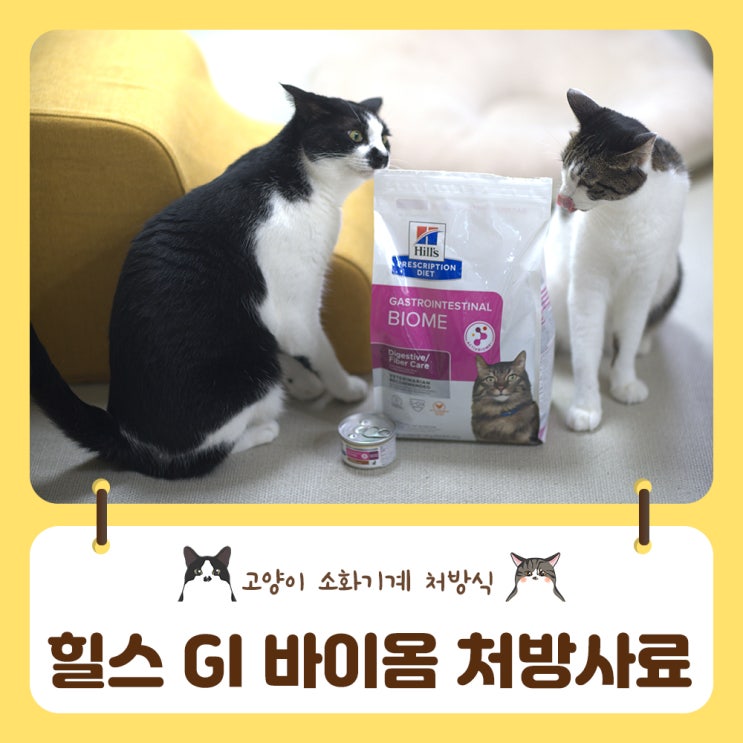  고양이 변비에 힐스GI바이옴 처방사료로 관리해요(#예쁜똥챌린지 시작)