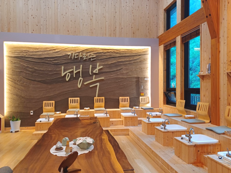  [강원도 기차여행] 초곡용굴촛대바위길 & 삼척활기치유의 숲 
