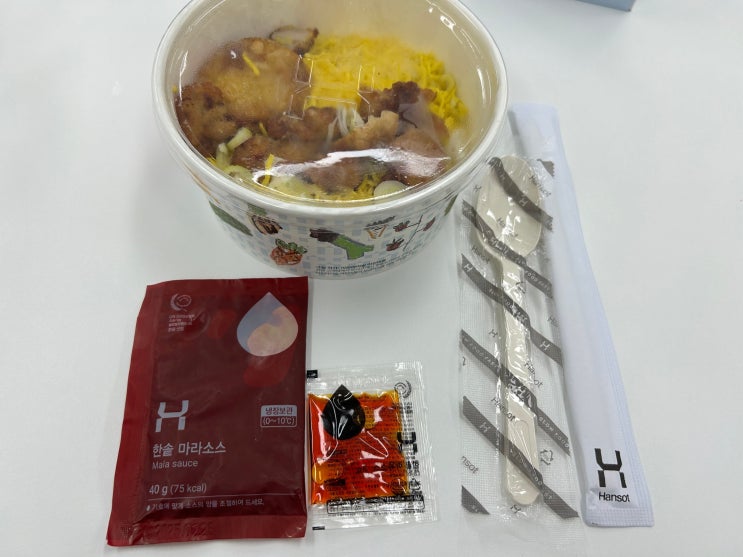  한솥도시락 신메뉴 <마라치킨볶음면> 리뷰