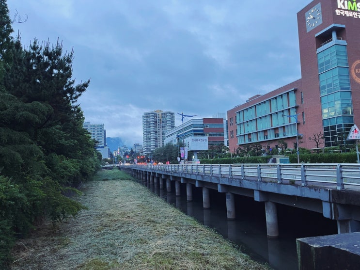  창원 산책