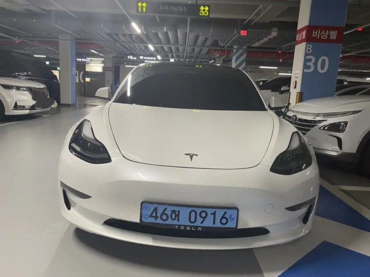  평택 사고대차 장기렌트 테슬라 수리 기준과 번호판 파손 처리 방법