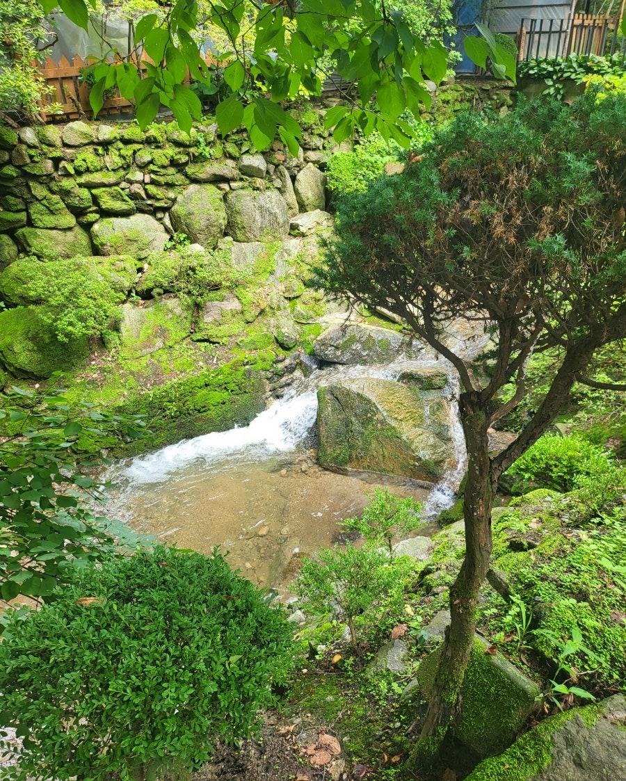 푸른산장 사진 4
