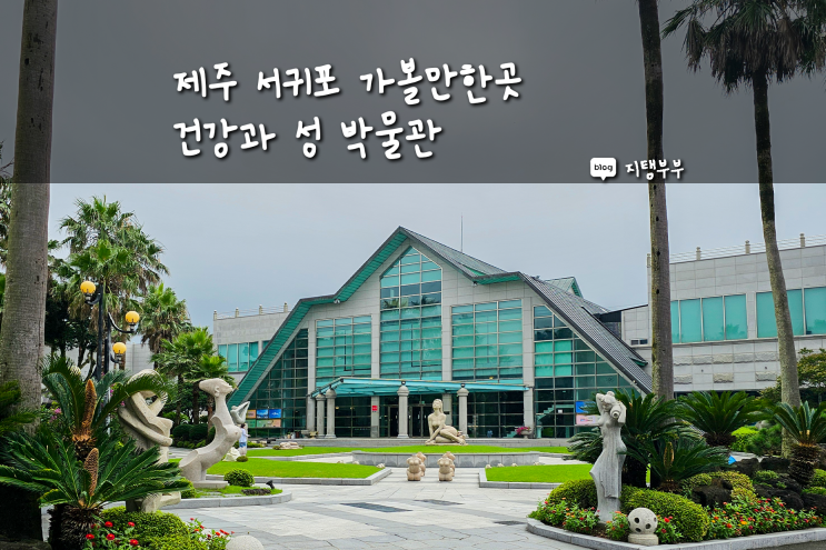  제주 서귀포 실내 가볼만한곳 건강과 성 박물관 야놀자 지역별 전시 제주 베스트 실내관광지