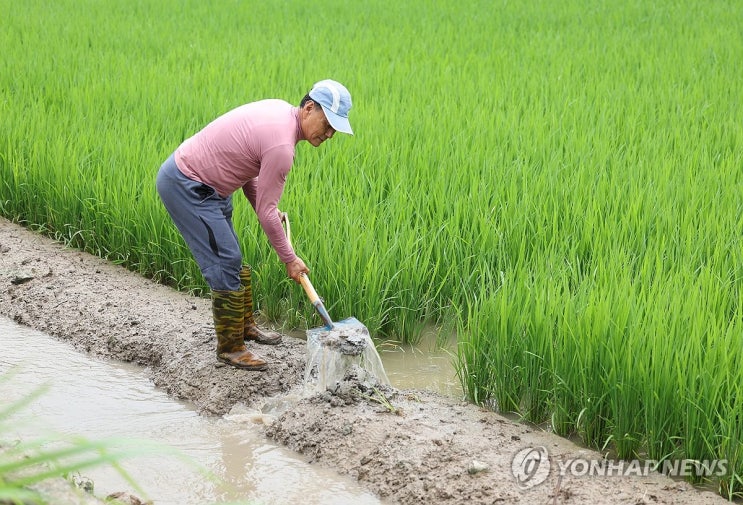 "하루 강수량 80mm 이상이면 풍수해보험금 지급액 70%↑" "하루 강수량 80mm 이상이면 풍수해보험금 지급액 70%↑"