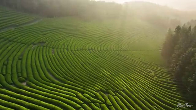  리모델링 빠르게 견적받는 비법 , 라티크 가 직접 정리해드릴깨요 (무료 서비스)