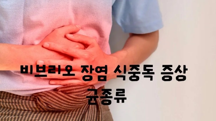  비브리오 장염 식중독 증상 차이 균특성 종류 감염원인 치료 예방법