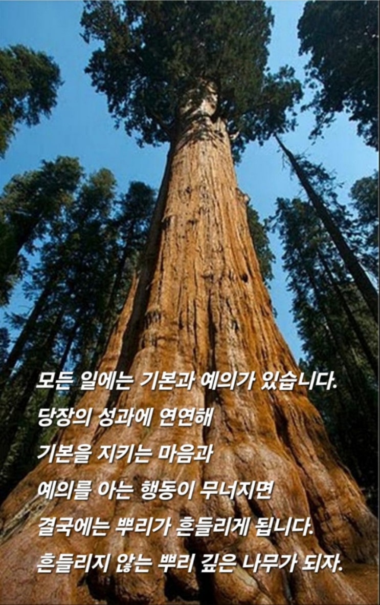  7월 짧고 좋은 글귀로 to do list를 만들었다.