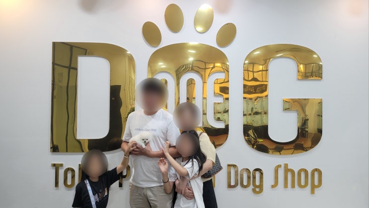  화이트 포메라니안, 사랑 넘치는 새로운 가정과 인연을 맺었습니다!/강아지분양 세종애견샵 세종시강아지분양 오송강아지분양 오송애견샵