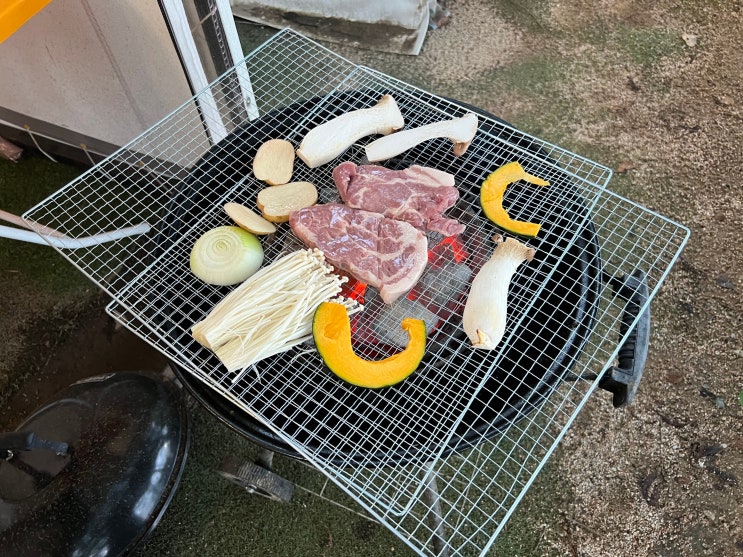  남양주 애견동반식당 셀프 바베큐장 스페셜유