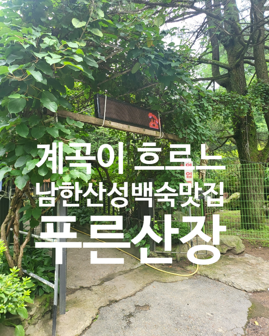 푸른산장 사진 1