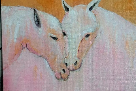 (주)보고유화 이미지