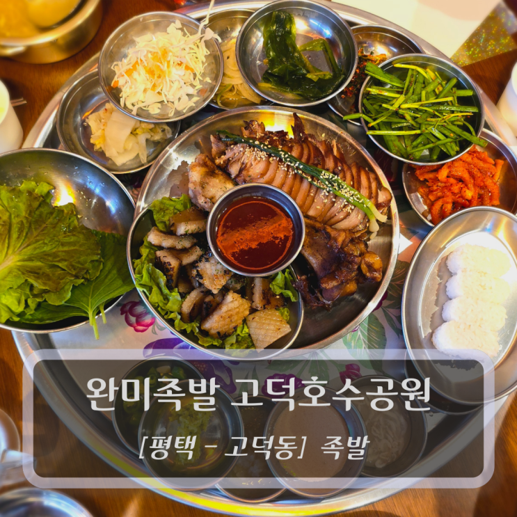  [평택-고덕동, 족발] 완미족발 고덕호수공원점 - 평택고덕맛집
