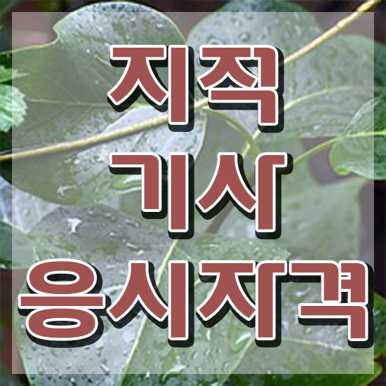  지적기사취업 지적기사 시험응시조건 인강으로 간단하게 완료한 방법