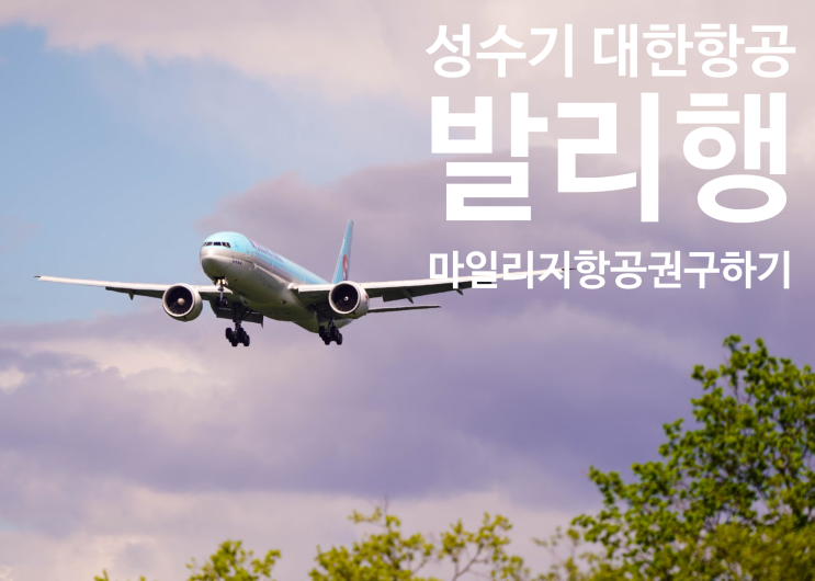  대한항공 마일리지 항공권 프레스티지(비즈니스) 항공권 구매 팁, 나의 프레스티지 좌석 종류와 확인 방법