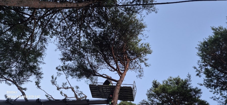 해찬솔펜션 사진 2
