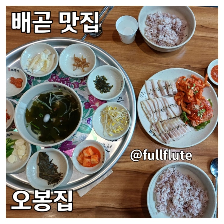  배곧 맛집 아브뉴프랑 술집 오봉집 점심 특선 맛 조합