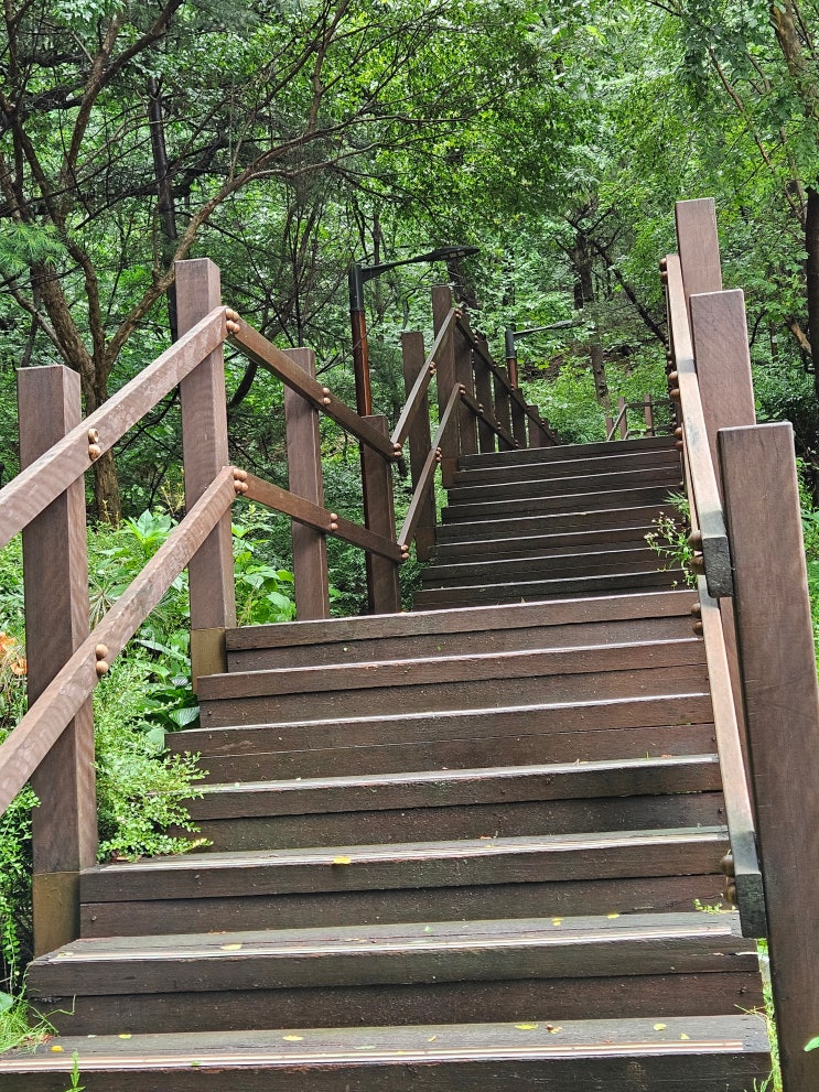 은평뉴타운 아파트 매매 전세 급매역세권 초등학교 북한산조망