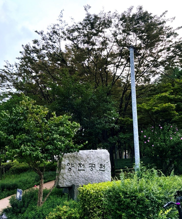  주말 양천공원 산책 (잔뜩 먹었으면 걸어야죠~)