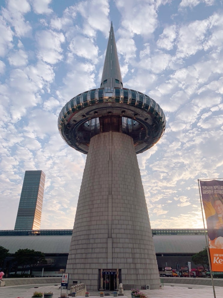  [파이어일상] 파이어 한 달째 일상 - 대전 & 세종 여행