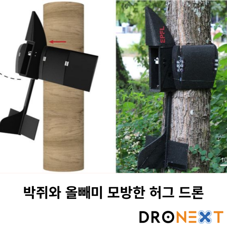  박쥐와 올빼미를 모방한 허그 드론
