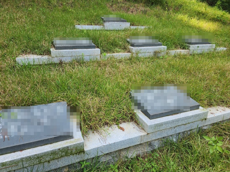 묘지이장 후 가족묘지 조성절차 및 필요서류 : 네이버 블로그