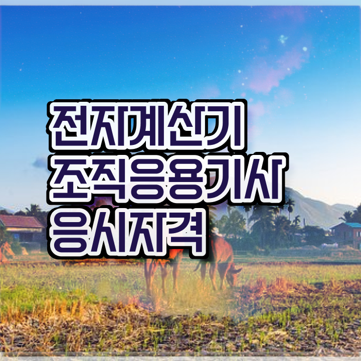  전자계산기조직응용기사 응시자격 온라인 과정으로 쉽고 빠르게 끝낸 과정