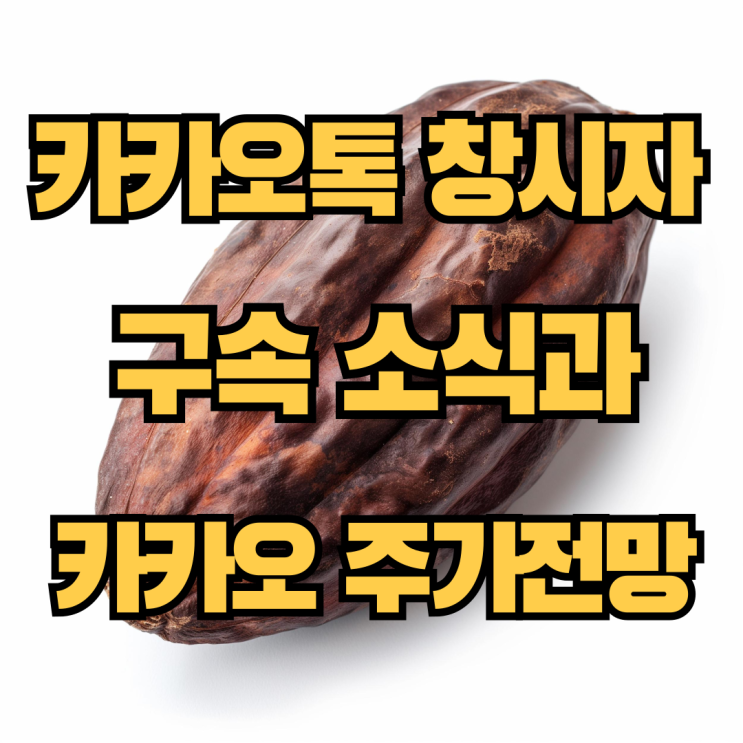 <b>카카오</b> <b>김범수</b> <b>구속</b>으로 보는 <b>카카오</b> 주가 상황