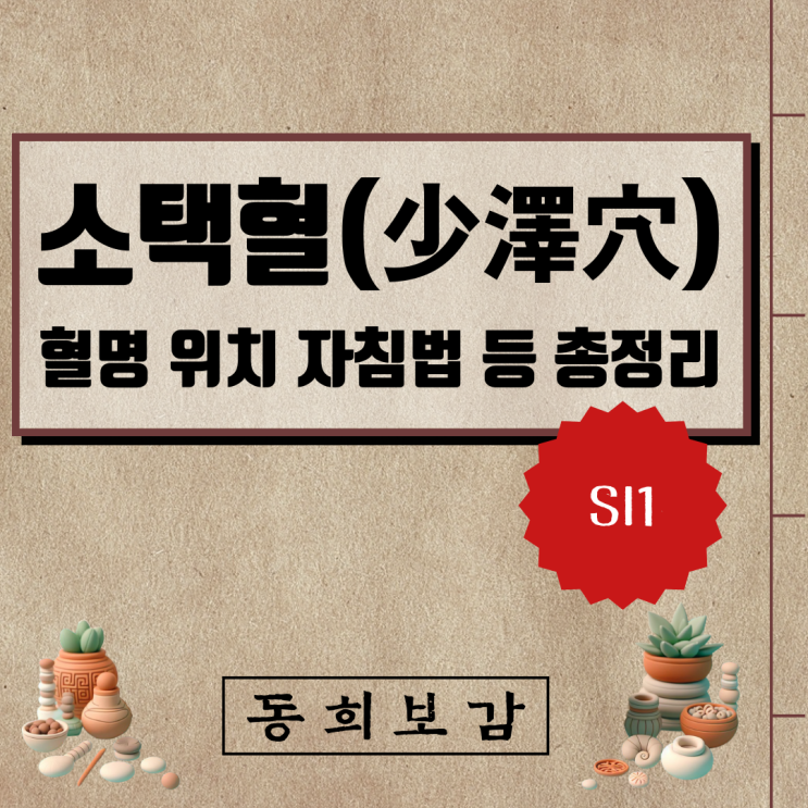  소택혈(少澤穴) SI1, 소속경맥 혈명 위치 특성 자침법 등 총정리
